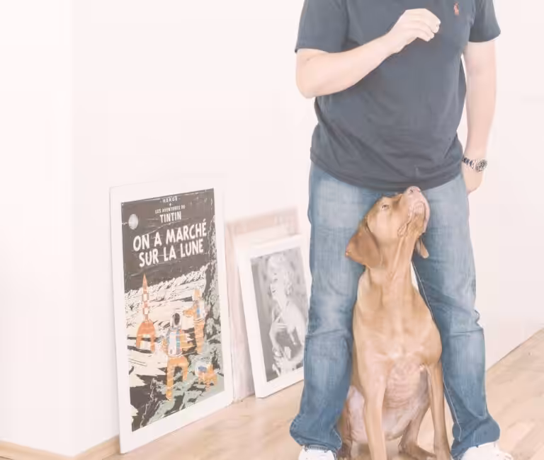every agency has a dog