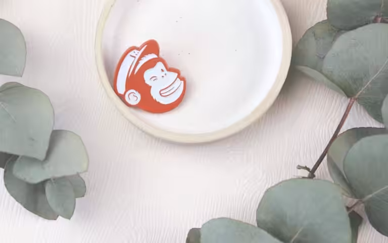 hey-chimp-studio-cotton-bristol