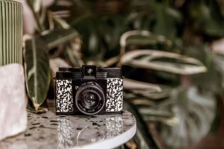 camera-photography-0819-Studio-Cotton-bristol-94