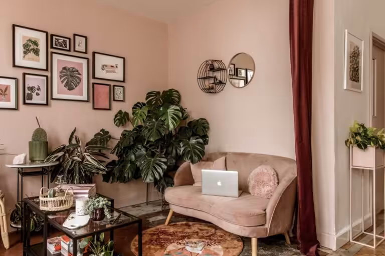 laptop-0819-Studio-Cotton-bristol-255