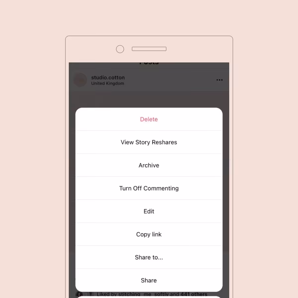 Instagram screenshot with View Story Reshares