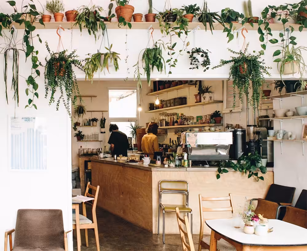 Albatross Cafe Bristol by Elinor of Hunch Co