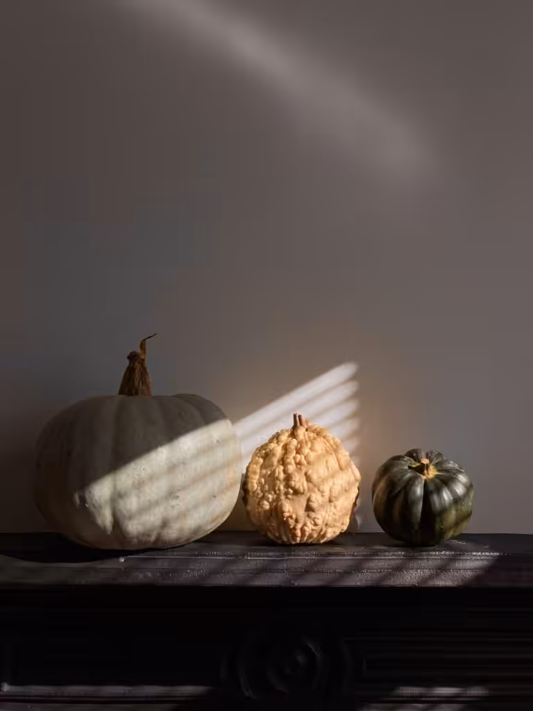 three different sized white and green pumpkins in the sun