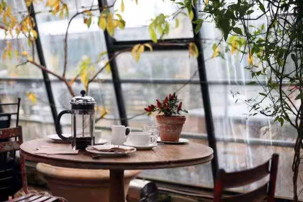 coffee-shop-stock-image-studio-cotton(1)