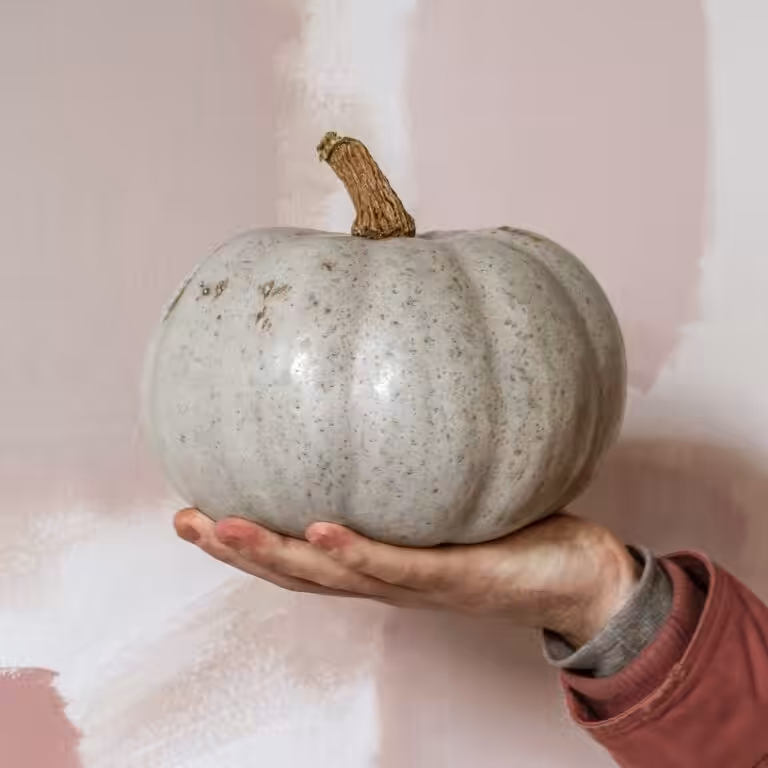 pumpkin-studio-cotton