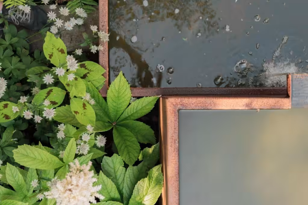 Artisan Landscapes garden design Bristol planting water feature