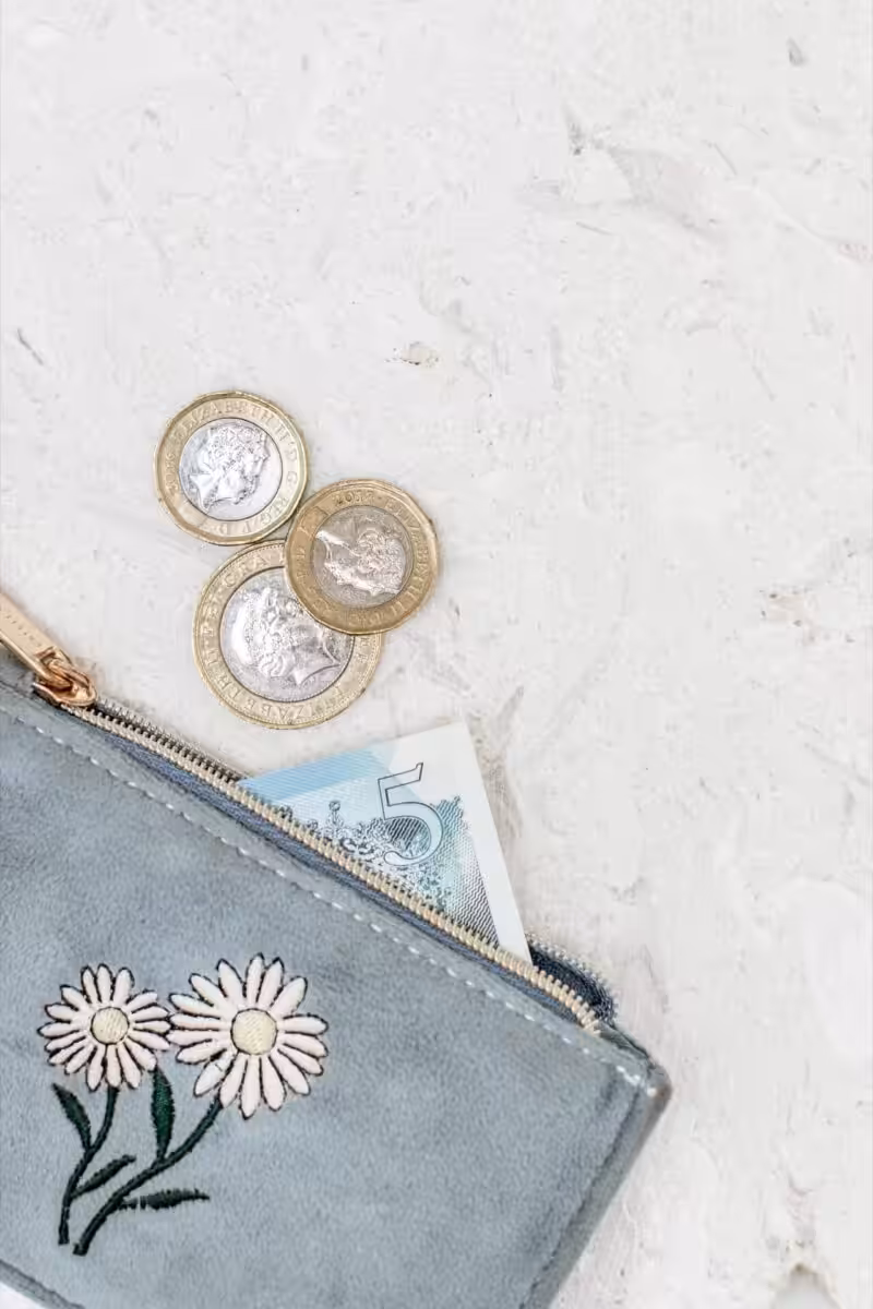 money falling out of a purse.