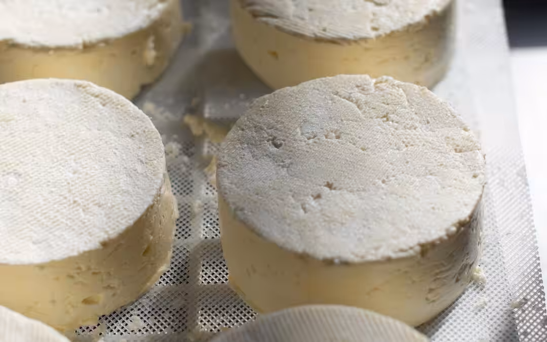 Cheese that has the texture of the moon