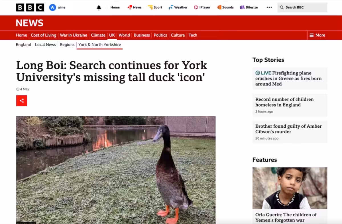 Screenshot of BBC News article