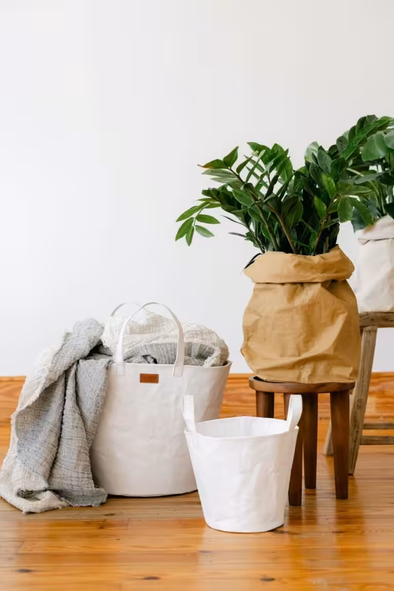 uashmama-paniere-plant