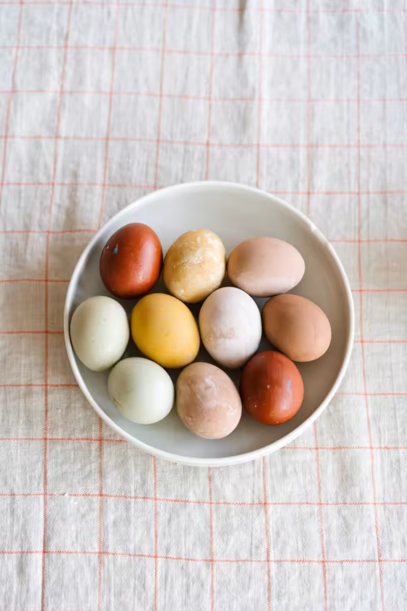 easter-eggs-listicle-topics-studio-cotton