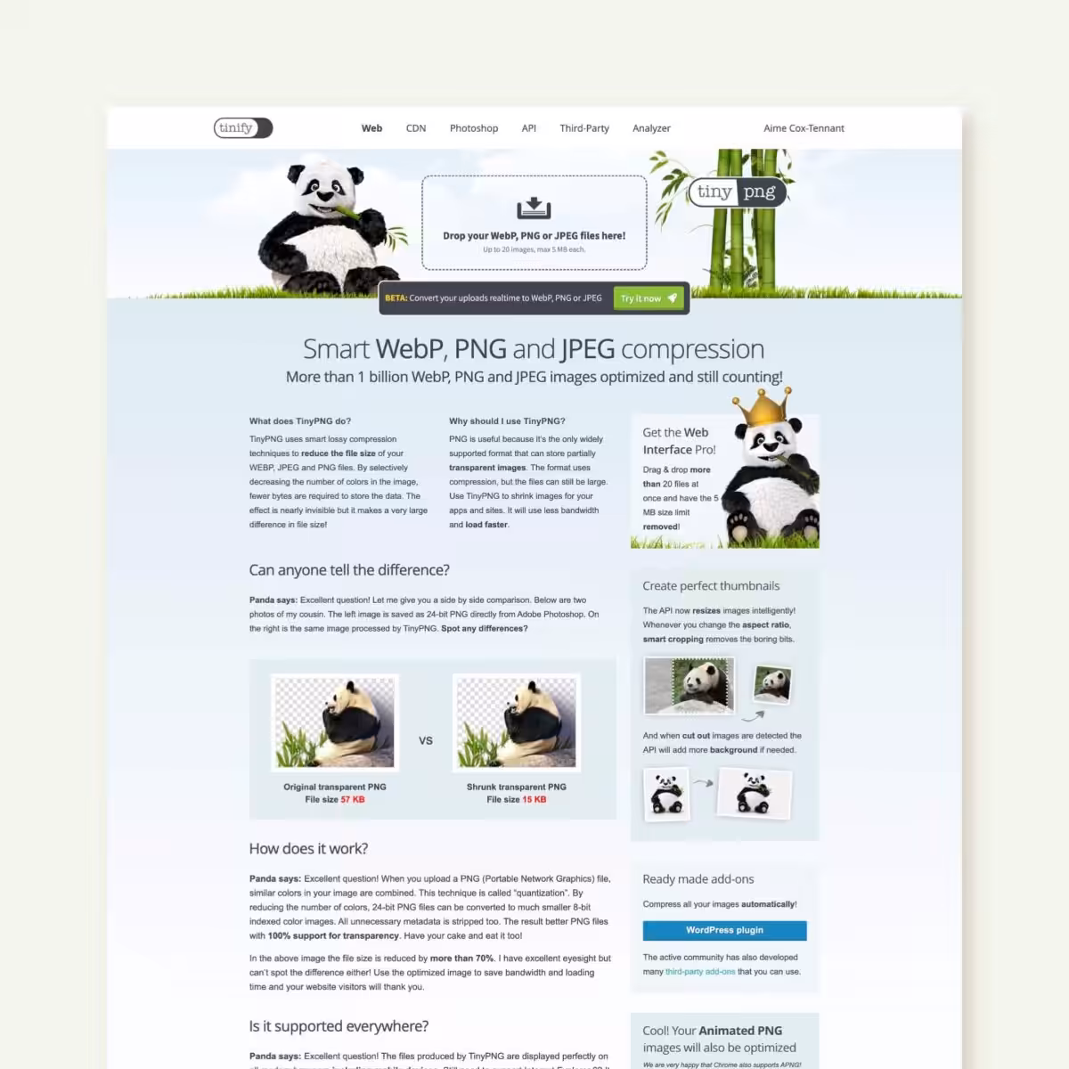 Screenshot of the TinyPNG website