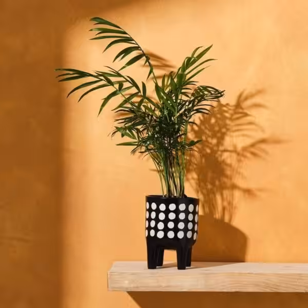 Studio-Cotton-Housewarming-Karakorum-Ethical-Home-Decor-UK-blog-content