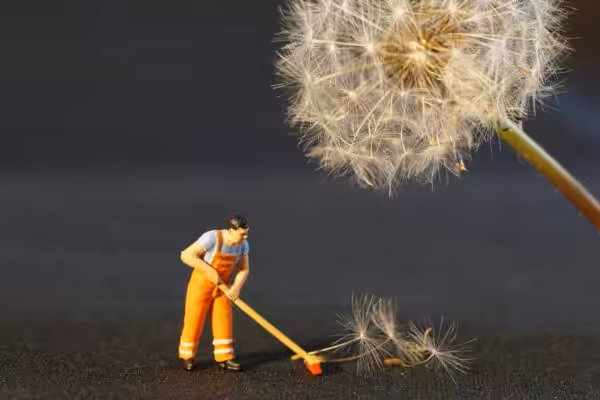 Studio-Cotton-spring-cleaning-UK-blog-content