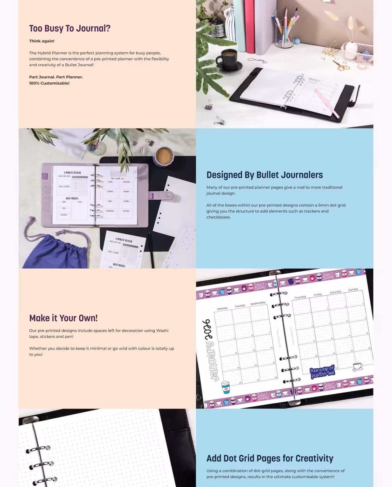 oops-a-daisy-product-modules-studio-cotton